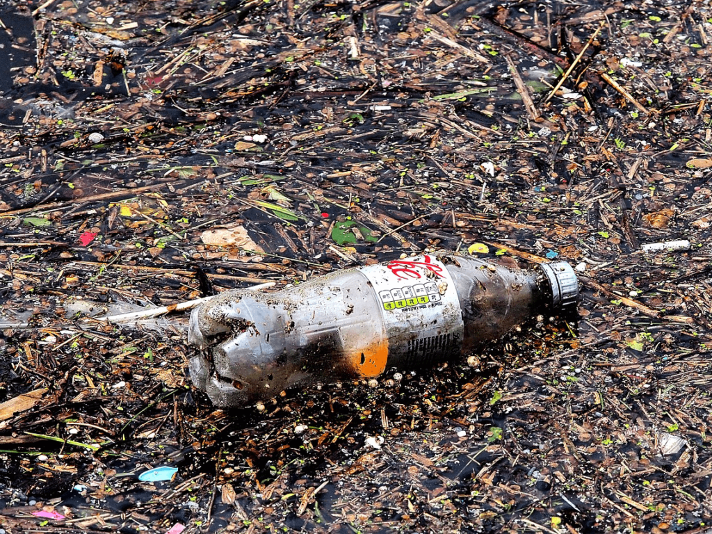 A diet coke bottle is littered in the mud