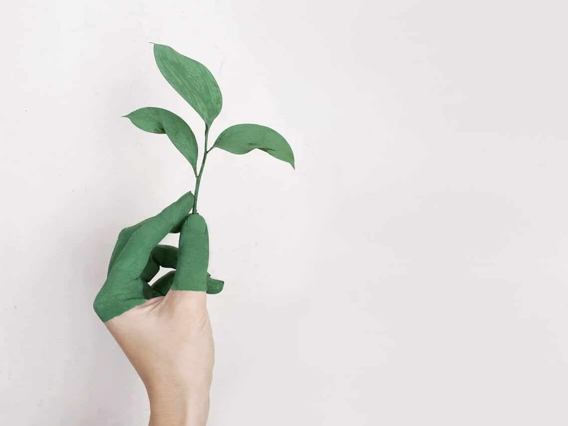 A green dipped female's hand is holding a plant's stem with three leaves