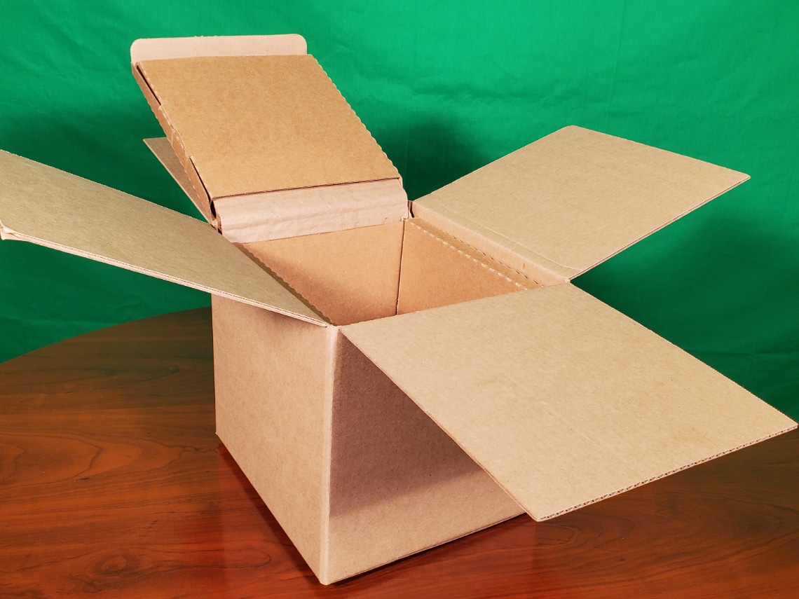 Thermo Fisher sustainable cooler packaging Styrofoam Alternative
