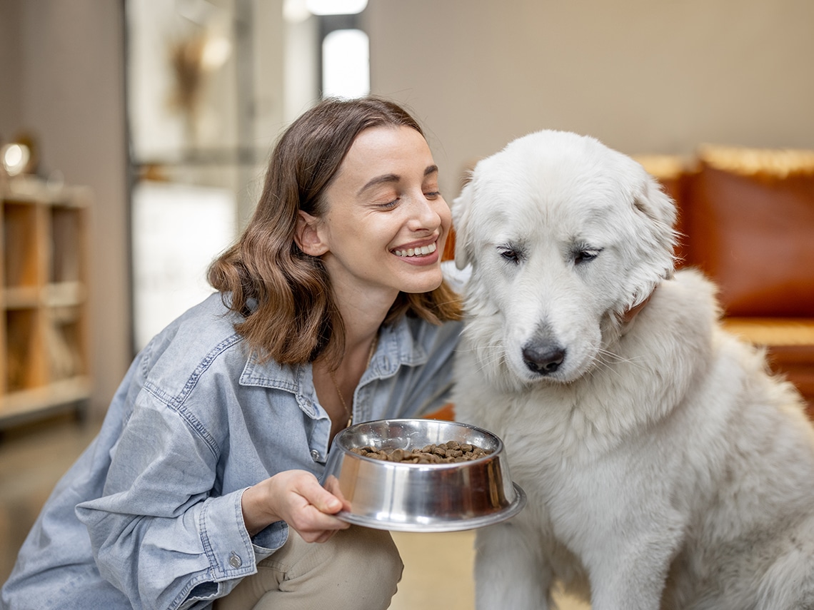 Sustainable Pet Food Packaging
