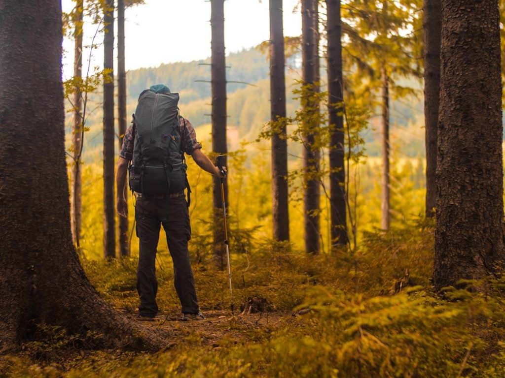 a hiker standing in the middle of the woods thinking about sustainable packaging