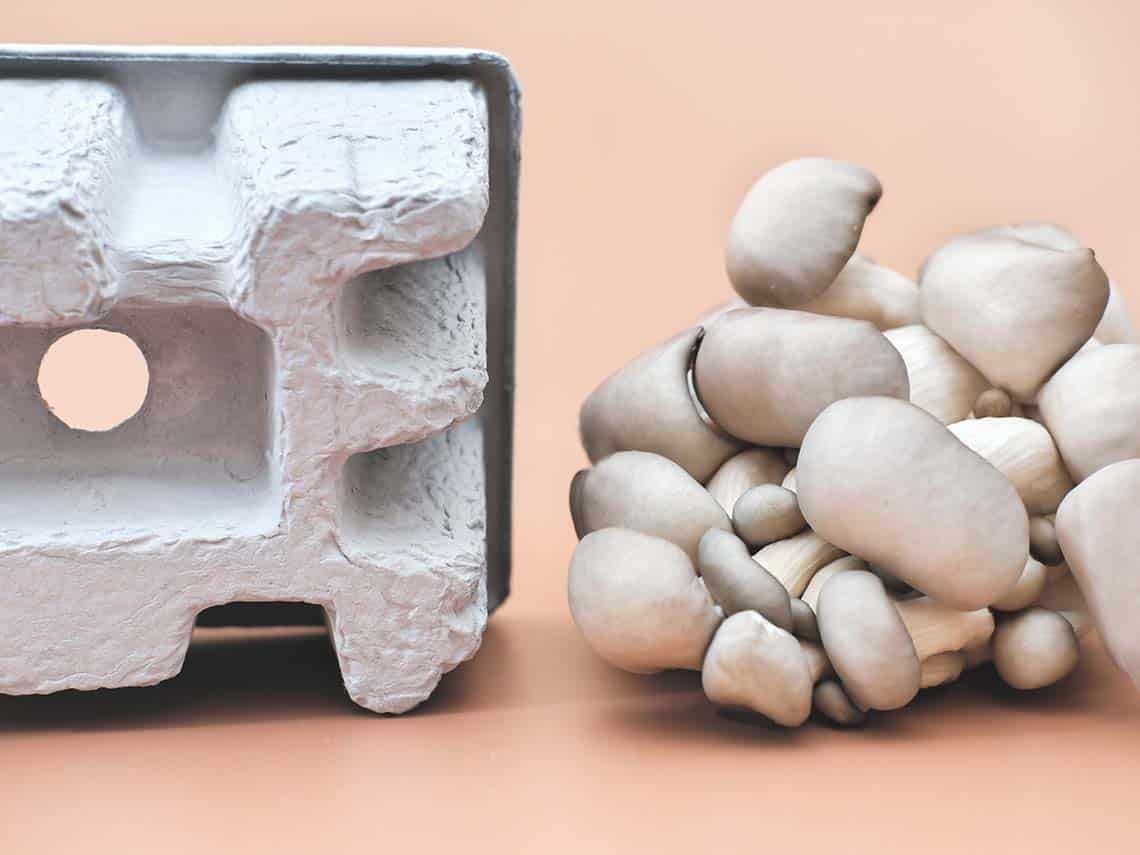 biodegradable and compostable packaging