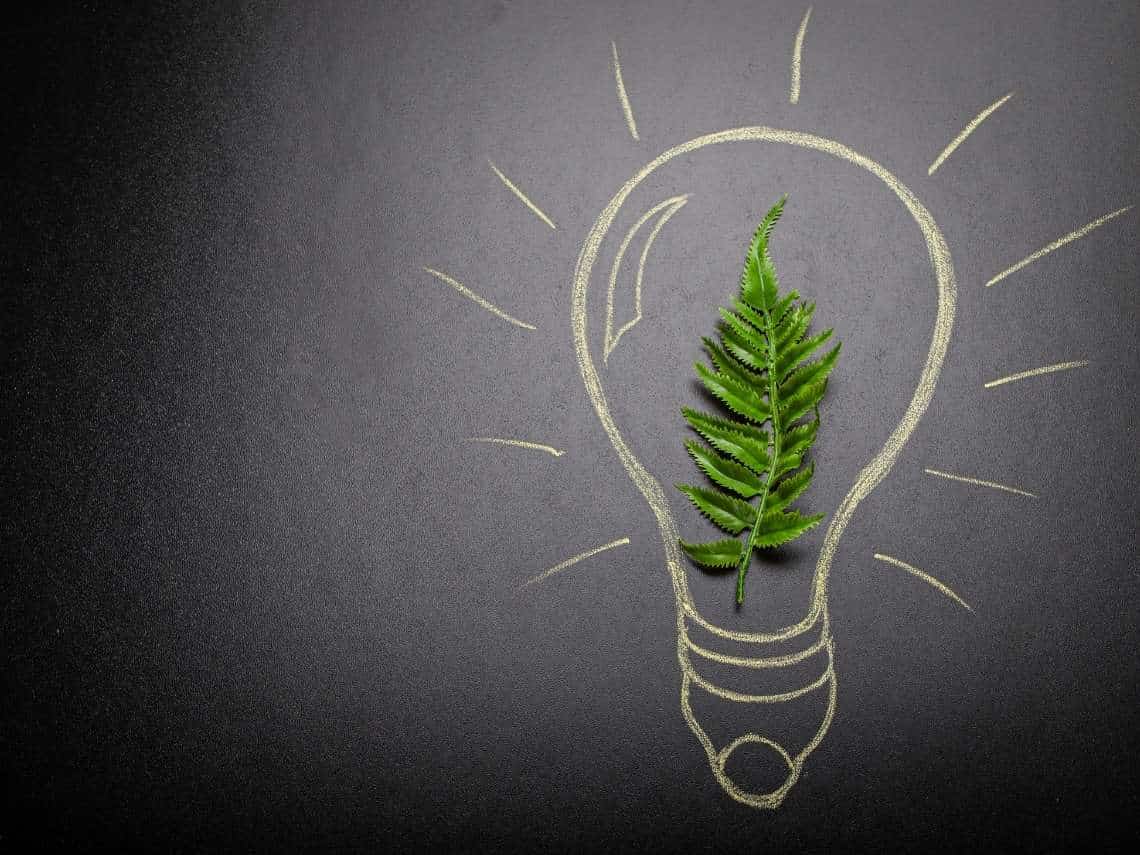Sustainable Innovation