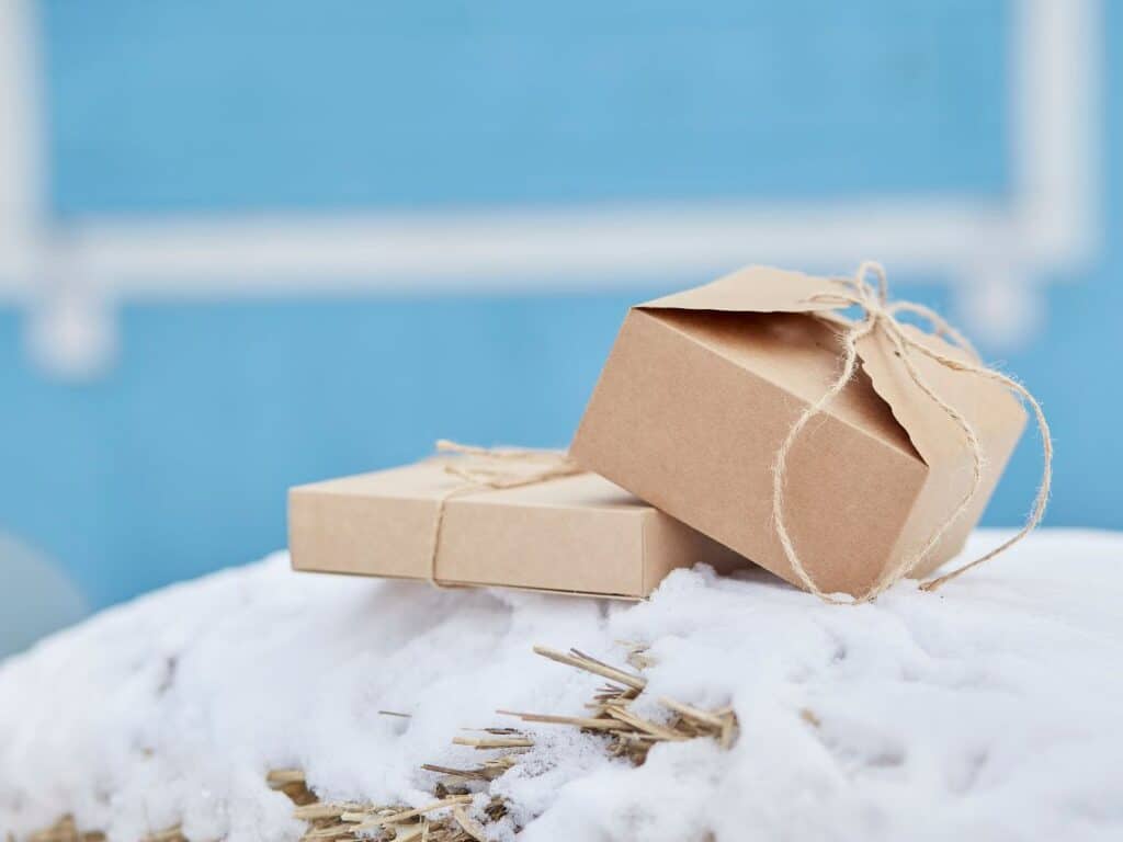 Supply Chain Resilience